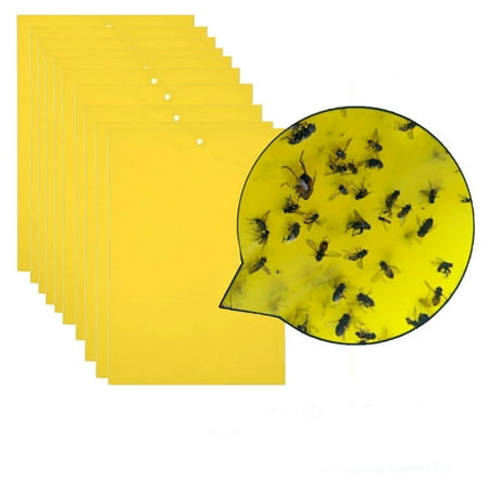 Quistrepon 10pcs Strong Traps Sticky Board Catching Aphid Pest