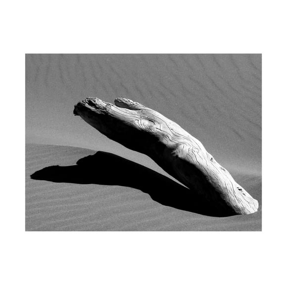 Canvas Wall Art - Miron Abramovici 'Ergo' Wall Art for Living Room, Bedroom, or Office Décor by Trademark Fine Art - 19 x 14 Inches