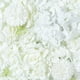 thumbnail image 4 of Panel de flores artificiales de seda, fondo de escenario de boda de flores artificiales de hortensia y rosa, fondo de foto de boda, fondo de fiesta en casa - Blanco, 4 of 6