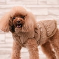 thumbnail image 3 of maskred Polyester Winter Pet Down Jacket For Dogs Winter Wardrobe Essential Warm And Comfortable Pink 3XL, 3 of 6