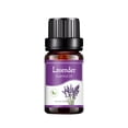 thumbnail image 1 of Aceites esenciales de aceite soluble en agua de 10 ml para difusor de humidificador (lavanda) JShteea  Libre de BPA, 1 of 8