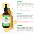 thumbnail image 2 of Aliver Mint Oil for Skin and Hair Care, Scalp & Hair Natural Oil for All Hair Types - 4 oz., 2 of 10