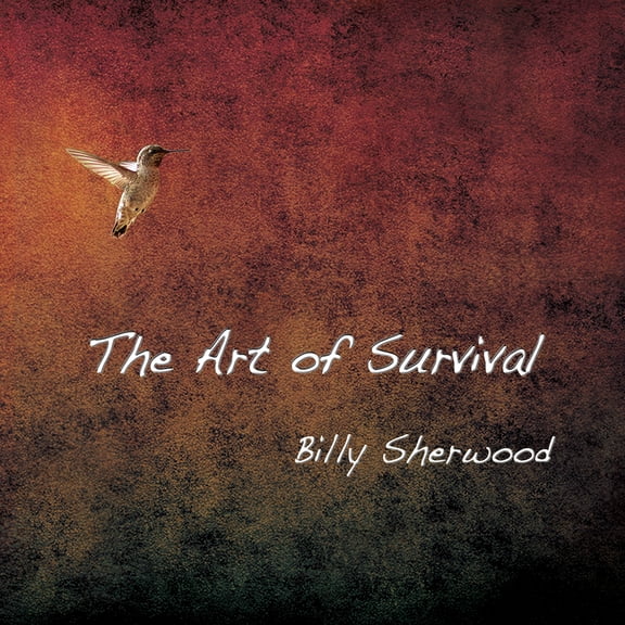Billy Sherwood - Art Of Survival - Music & Performance - CD