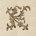 thumbnail image 1 of Ahgly Company Indoor Square Patterned Vanilla Gold Area Rugs, 4' Square, 1 of 6