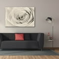 thumbnail image 3 of Epic Graffiti 'Cream Rose' by Lori Deiter, Canvas Wall Art, 60"x40", 3 of 8