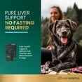 thumbnail image 6 of VetriScience Liver Support Antioxidant Supplement Chews for Dogs, Chicken Liver Flavor, 60 Count Bag, 6 of 8