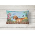 thumbnail image 2 of Carolines Treasures CK1214PW1216 Dachshund Spring Canvas Fabric Decorative Pillow, 2 of 3