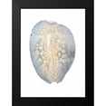 thumbnail image 2 of Vision Studio 19x24 Black Modern Framed Museum Art Print Titled - Silver Foil Shell II with Hand Color, 2 of 5