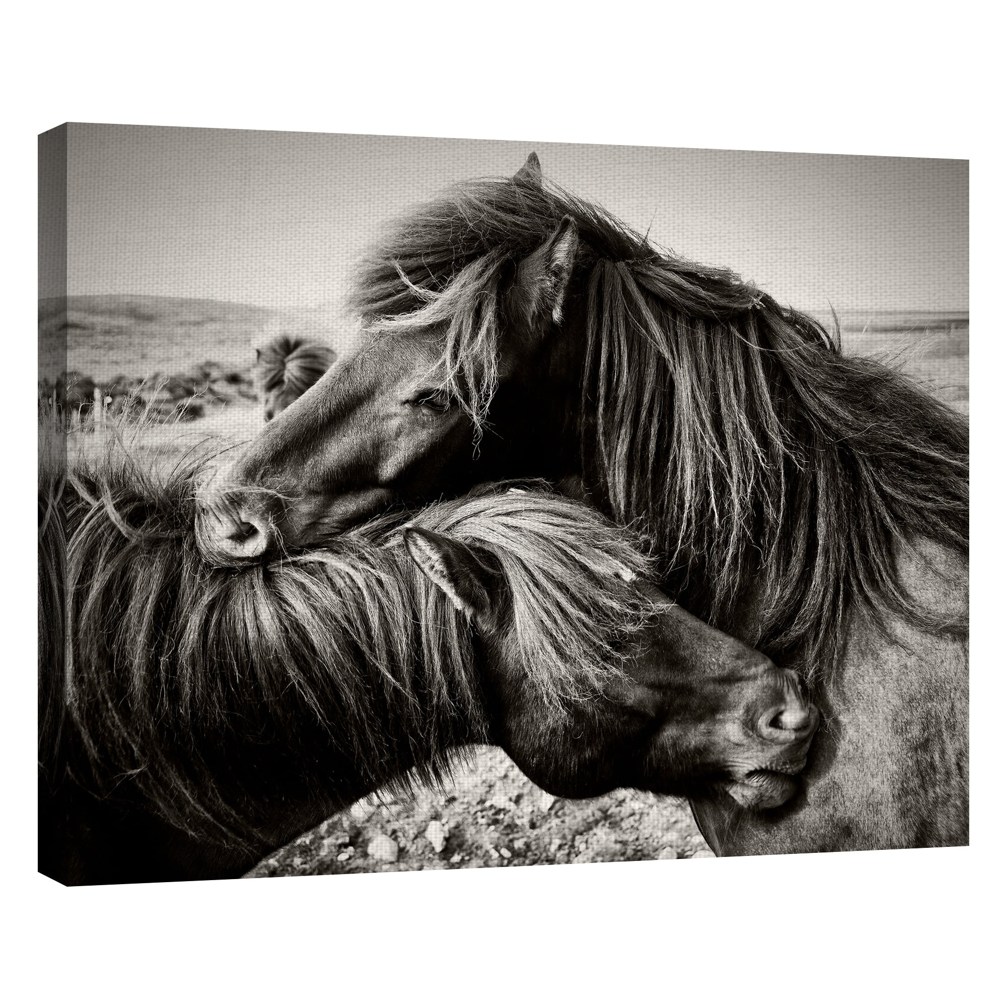 Masterpiece Art Gallery True Love Two Horses by Belle Maison Canvas Photo Art Print 22" x 28"