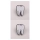 thumbnail image 4 of Minnieouse Broches de dibujos animados para mujeres y niñas, broche de ramillete de órganos humanos, broche de cerebro, dientes, corazón, alfileres, dientes 2piezas Minnieouse CBP007616, 4 of 4