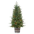 thumbnail image 1 of Sterling 5257--40C 4 Pi en Pot Naturel Coupe Hudson Pin Arbre de Noël avec des Pommes de Pin & Baies Rouges & 100 Lumières Blanches Chaudes&44; Vert, 1 of 1