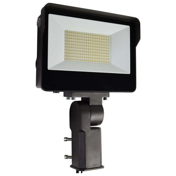 LED Tempered Glass Flood Light w/ CCT Tunable ColorQuick Bronze Finish