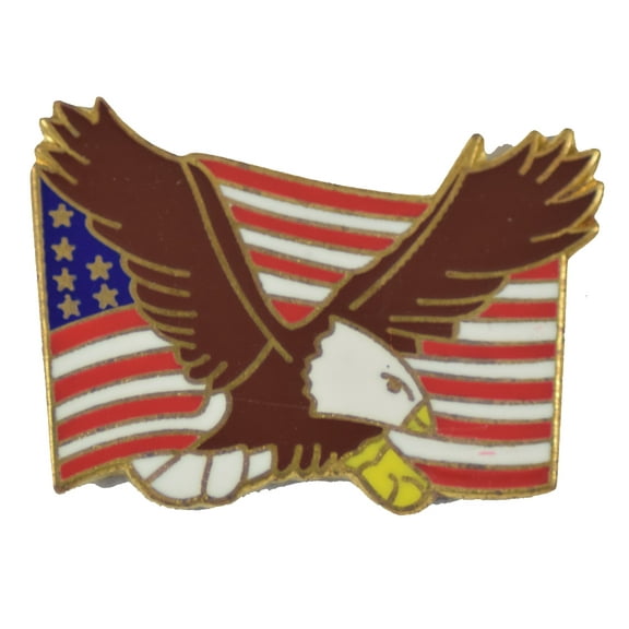 EAGLE & FLAG HAT PIN