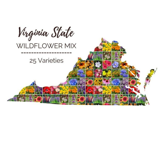 Virginia Wildflower Seed Mix 1 Ounce Mixed Wildflower Seeds, Attracts Bees, Attracts