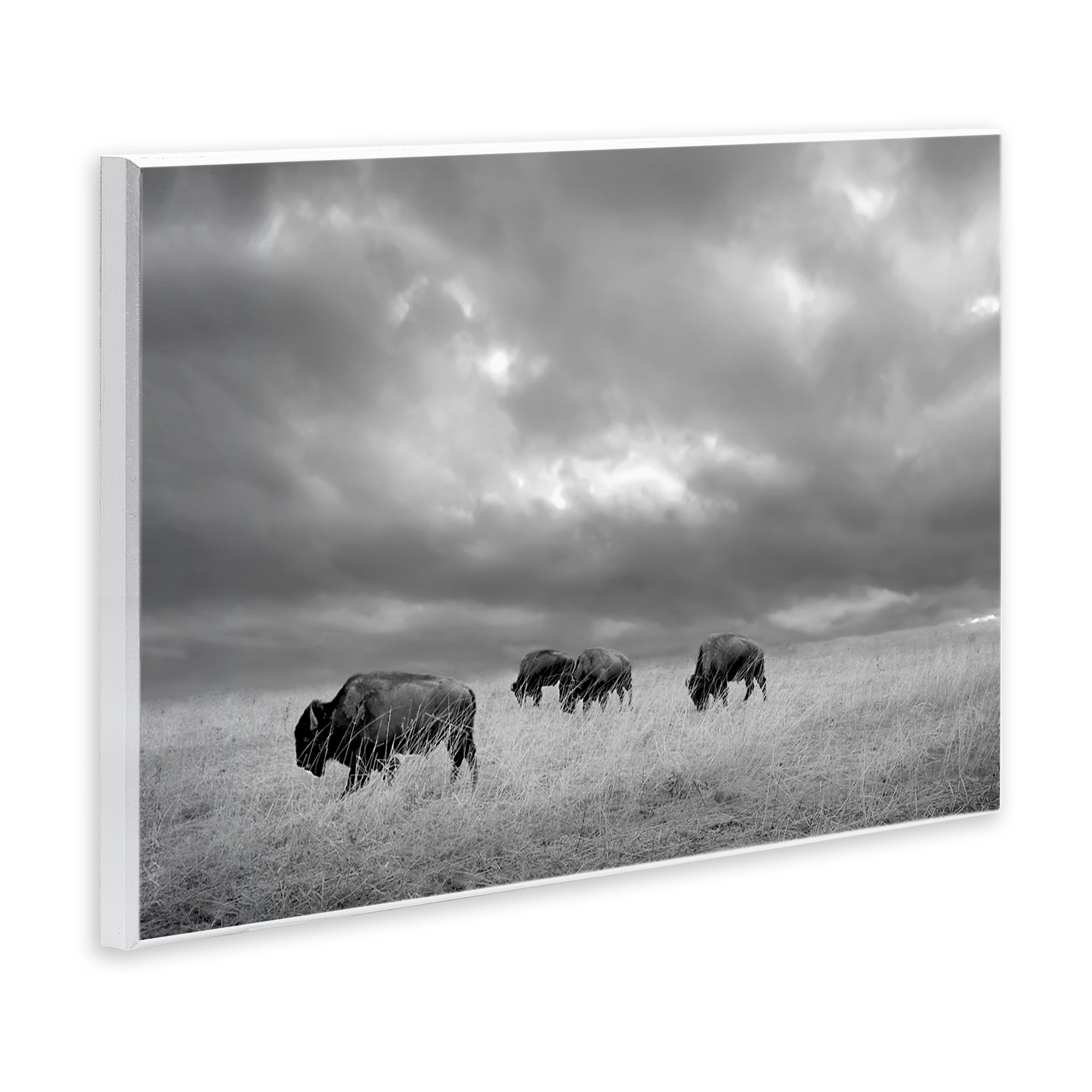 Stupell Industries Bisons Under an Autumn Sky Wall Plaque Art, design by Steve Toole
