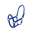 thumbnail image 1 of Pony Halter Gatsby Gold ajustable de nailon azul, 1 of 1
