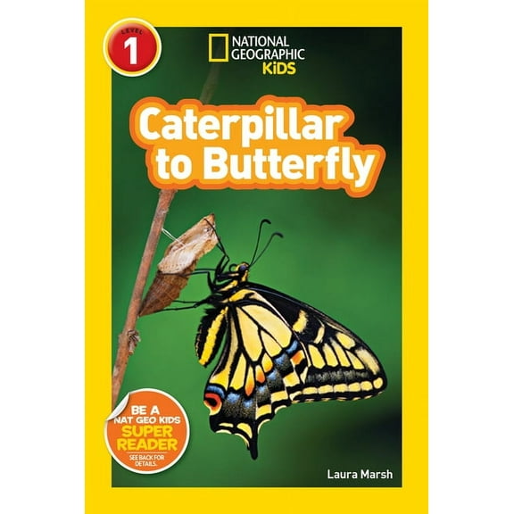 Caterpillar to Butterfly (Paperback)