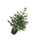 thumbnail image 2 of Mini árbol de Navidad artificial, adorno decorativo para el hogar, vívido 60 centímetros, 2 of 9