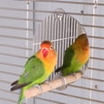 thumbnail image 3 of Bird Cage Standing Rod, Parrots Perch Toy Bird Mirror Perch, Pet Perch Mirror Parrots For Pet, 3 of 8