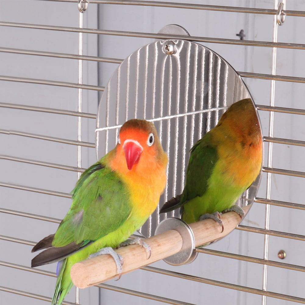 Stainless Steel Parrot Bird Mirror Perch Swing Toy Wood Cage Perch Accessories 5.1 x 5.1 in / 13 x 13 cm
