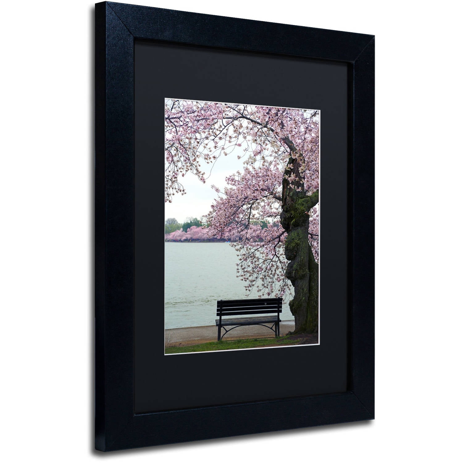 Trademark Fine Art "Tranquility" Canvas Art by CATeyes, Black Matte, Black Frame