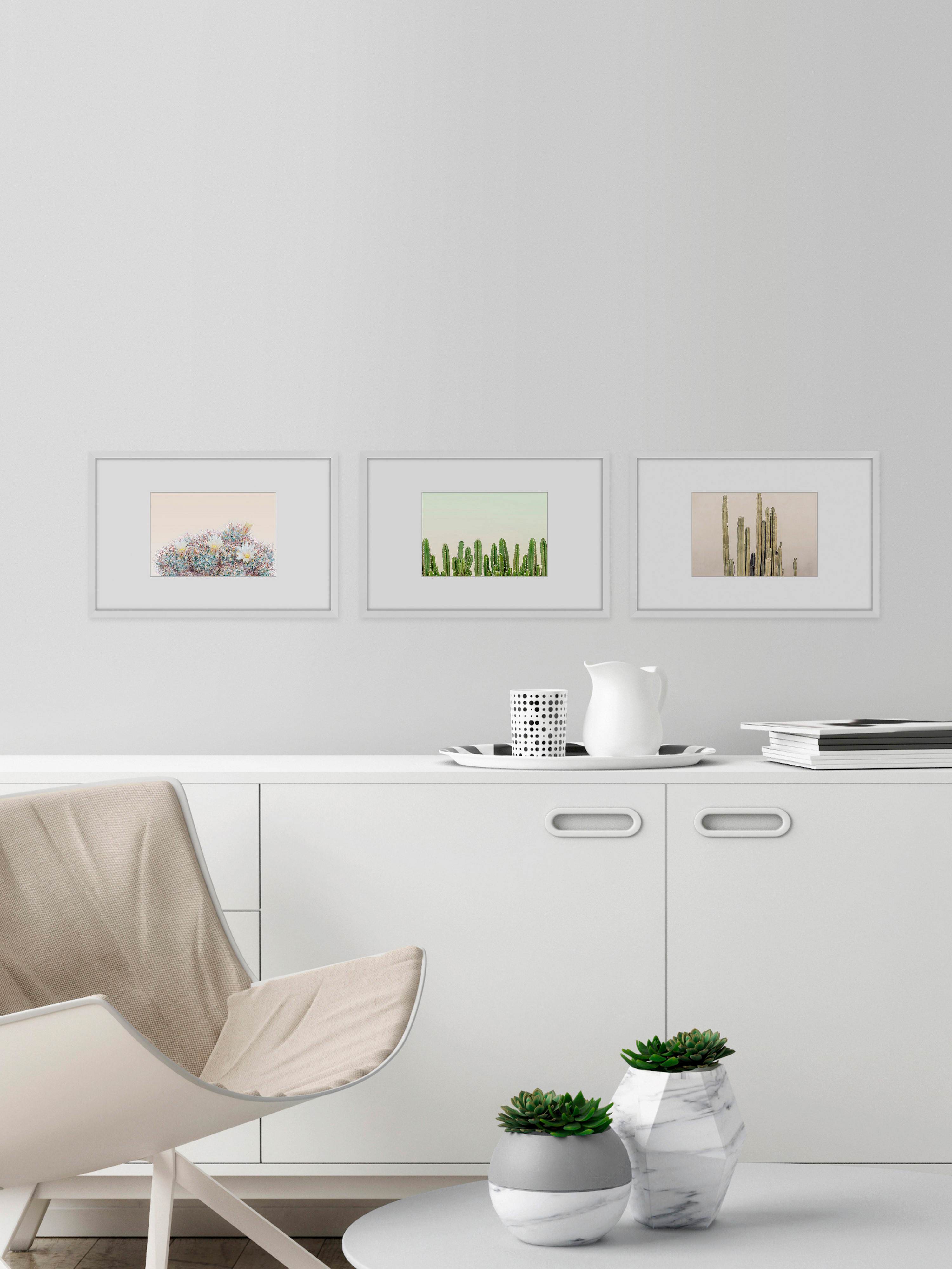 Floral Cactus Triptych, Art Prints, 135.00" x 1.50"