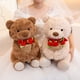thumbnail image 4 of Un Regalo para El Destinatario: Un Lindo Oso de Peluche con Una Rosa Roja., 4 of 7