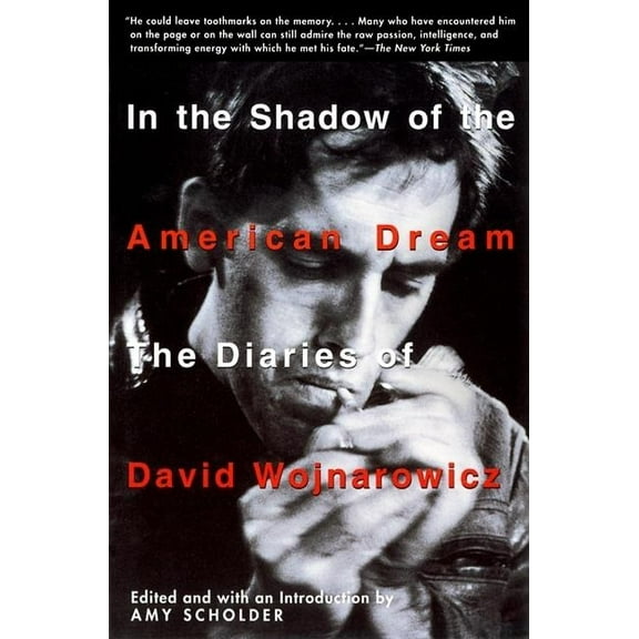 In the Shadow of the American Dream: The Diaries of David Wojnarowicz, (Paperback)