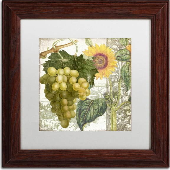 Trademark Fine Art "Dolcetto III" Canvas Art by Color Bakery, White Matte, Wood Frame