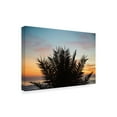 thumbnail image 2 of Trademark Fine Art 'Sunset Palm II' Canvas Art by Laura Marshall, 2 of 4