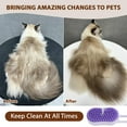 thumbnail image 3 of 2025 New Steam Brush for Shedding whit Cats Dogs, 3 in 1 Steam Cat Brush Cat Steam Brush, Steam Brush for Dogs, Pet Grooming Brush with Spray (Purple), 3 of 4