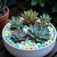 thumbnail image 4 of 400Pcs Colorful Glow-in-the-Dark Garden Stones, 2026 New Glowing Pebbles for Garden Outdoor, Beautiful Luminous Stepping Stones Glow Rocks for Landscaping Fish Tank Aquarium Walkway Decor, 4 of 9