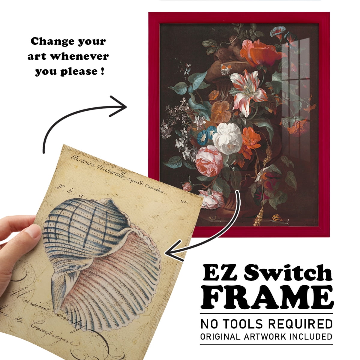 Seashell Ephemera V - Framed Print w/glass - Cherry Red