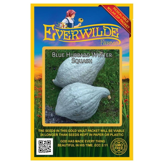 Everwilde Farms - 20 Blue Hubbard Winter Squash Seeds - Gold Vault Seed Packet