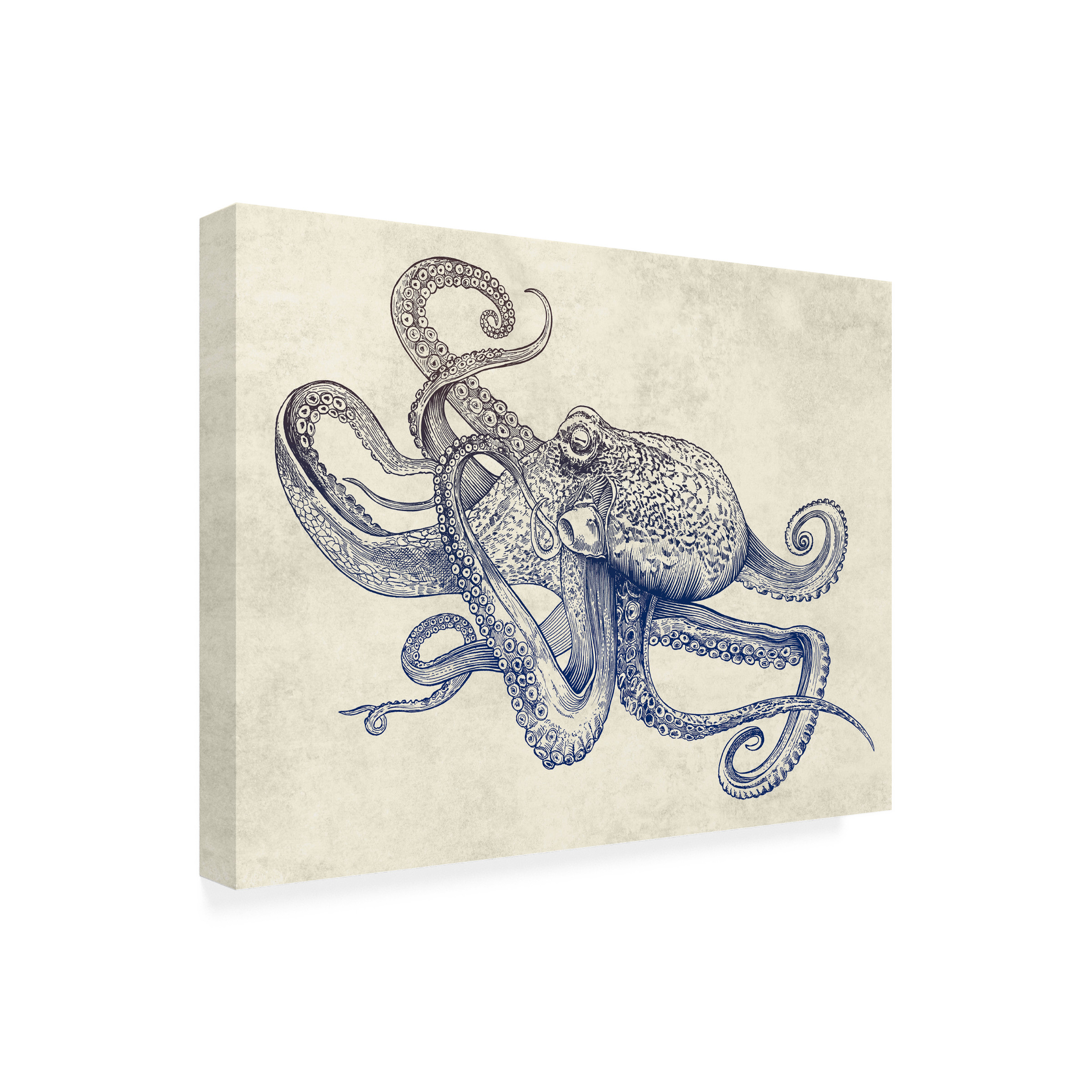 Rachel Caldwell 'Octoflow' Outdoor Canvas