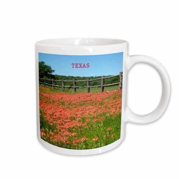 3drose, Texas Paintbrush Flowers, 15oz Mug