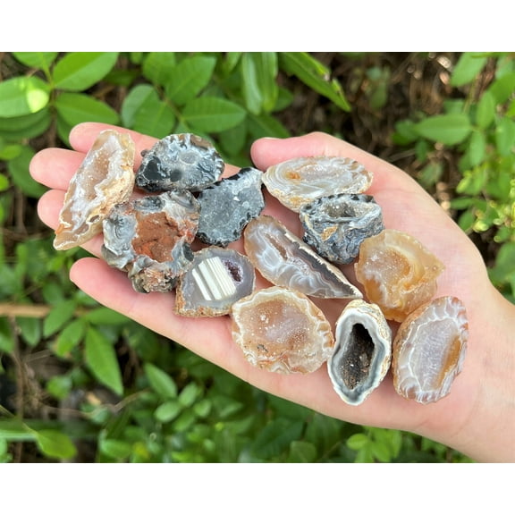 Bulk Clearance Oco Agate Geodes 1/2 lb Lot, Natural Crystal Druzy Halves (8 oz)