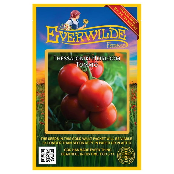 Everwilde Farms - 50 Thessaloniki Heirloom Tomato Seeds - Gold Vault Seed Packet