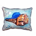 thumbnail image 1 of Betsy Drake ZP533 Amber Shell Extra Large Zippered Pillow - 20 x 24 in., 1 of 1