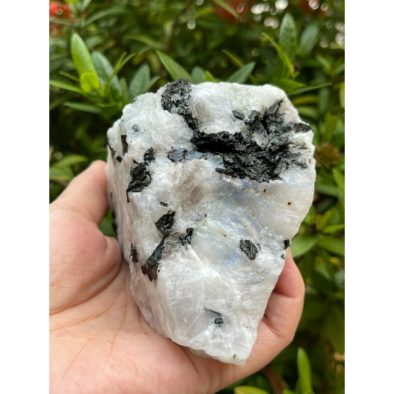 Large rainbow hotsell moonstone