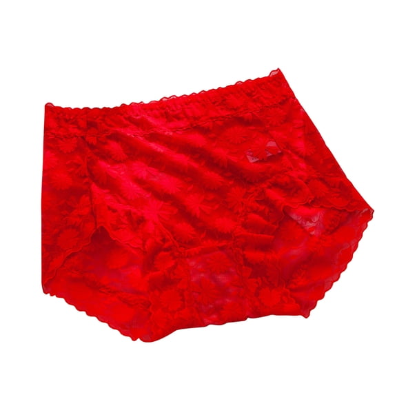 YYDGH Women's Underwear Regular & Plus Size Panties Lace Boyshorts Panty Sexy Soft Panties Red 3XL