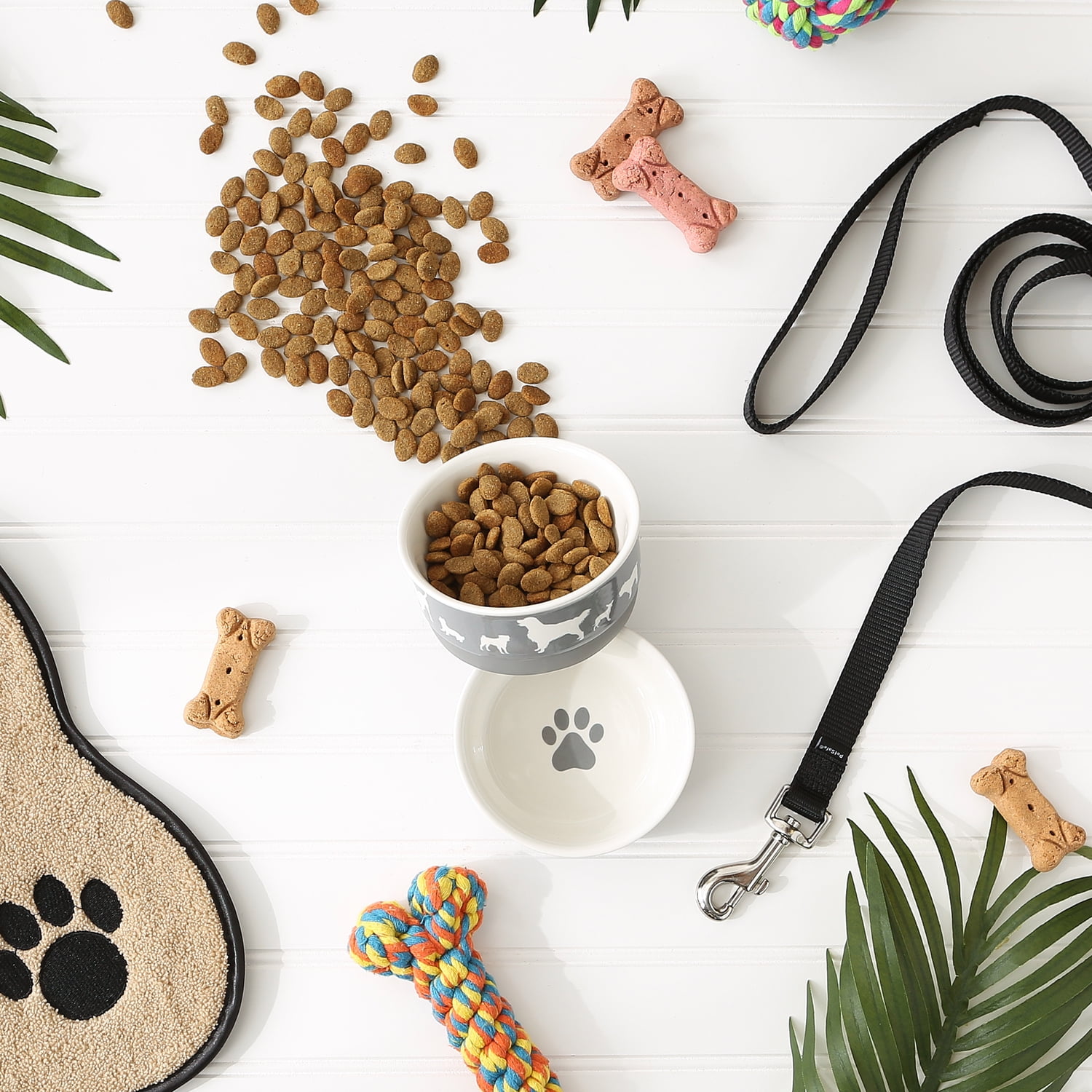 Bone Dry Ceramic Dog Bowl Set, Microwave & Dishwasher Safe, Small