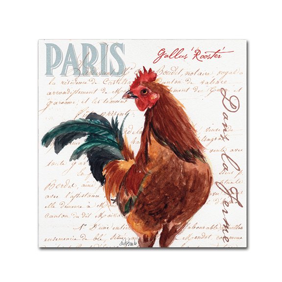 Trademark Fine Art "Dans la Ferme Rooster II" Canvas Art by Jennifer Redstreake