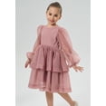 thumbnail image 3 of 2Bunnies Girls' 2T-10yr Organza Long Sleeve Tiered Babydoll Skater Princess Flower Girl Dress, 3 of 7