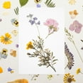 thumbnail image 3 of Picture Laminating Sheets Transparent for Photos Home Use 25 Sheets, 3 of 8