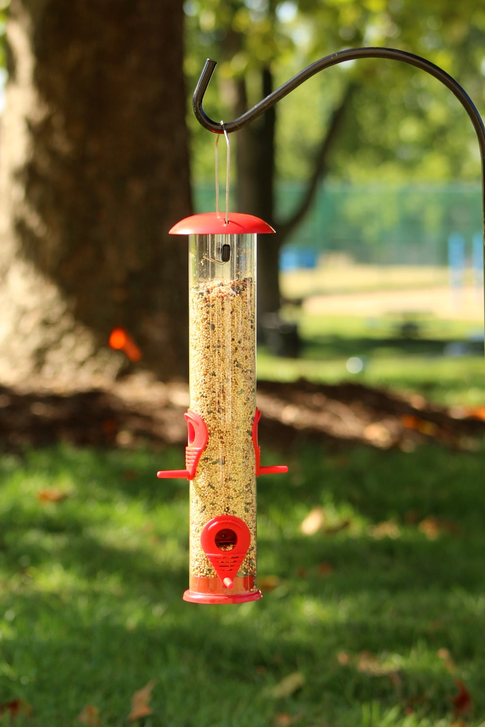 Attractive & Long Lasting Red Color. Metal Top and Bottom Ashman Bird Feeder 