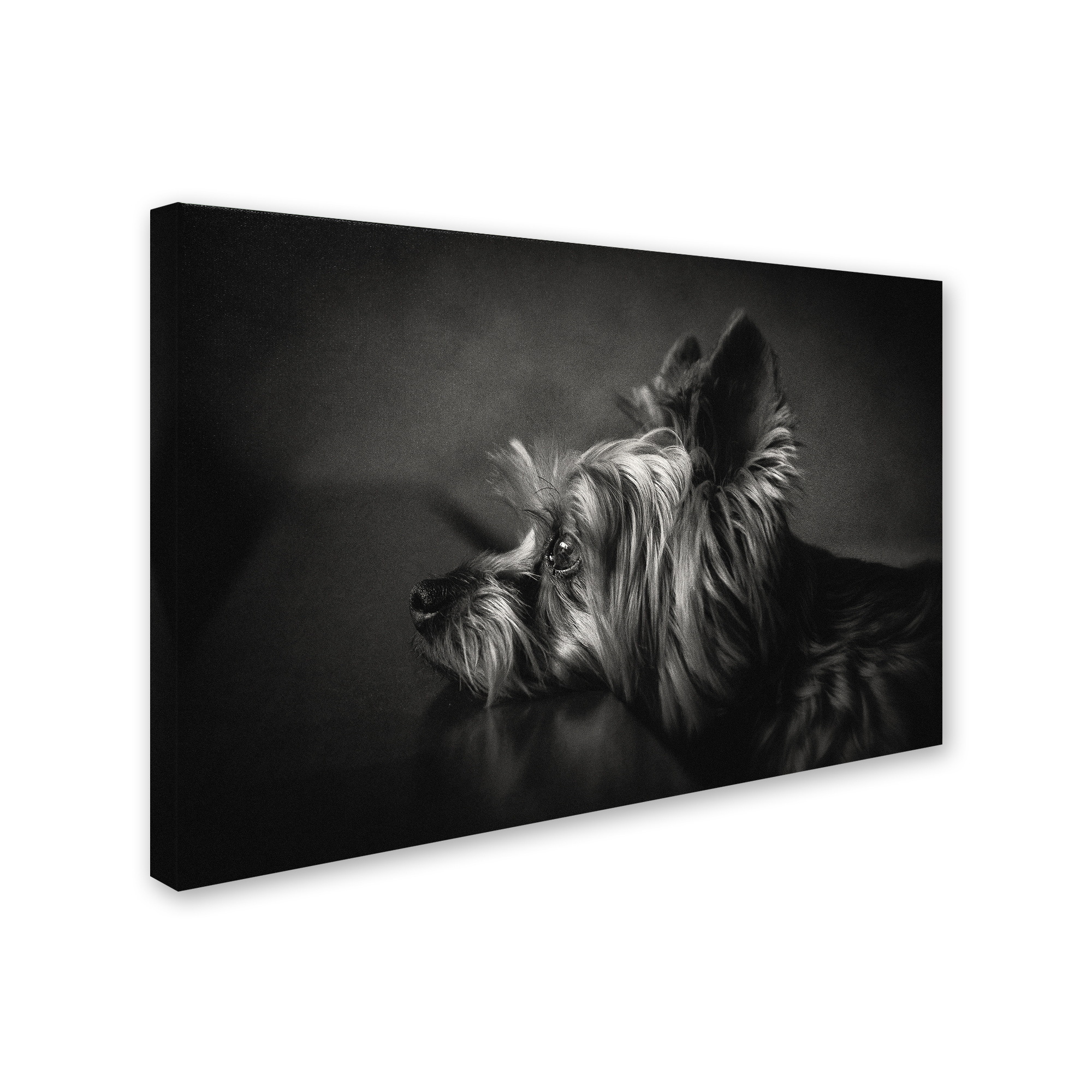 Krisztina Lacz 'I Have Been Waiting For You ...' Canvas Art
