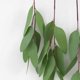 thumbnail image 5 of Simulación Planta Verde Decoración Hogar Fiesta Al Aire Libre Eucalipto Plantas Verdes Adorno Plástico Plantas Verdes Decoración Para La Decoración Del Hogar sonducket HA027670-02, 5 of 7