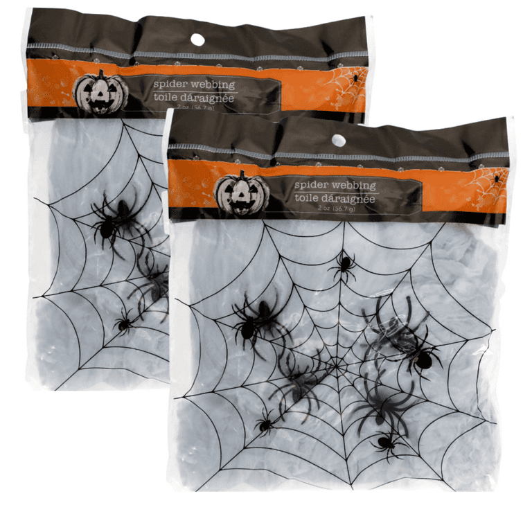 Why Spiders Decorate Their Webs