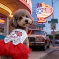 thumbnail image 2 of huayou Cute Patriotic Pet Cozy Dress, Festive Theme with Sequin Bow for Dog Cat Party and Everyday Wear, 2 of 6